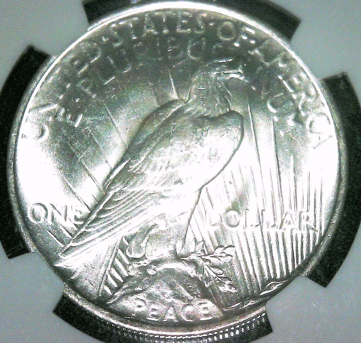 S20200911_0017.jpg