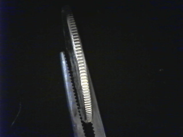 S20200914_006.jpg