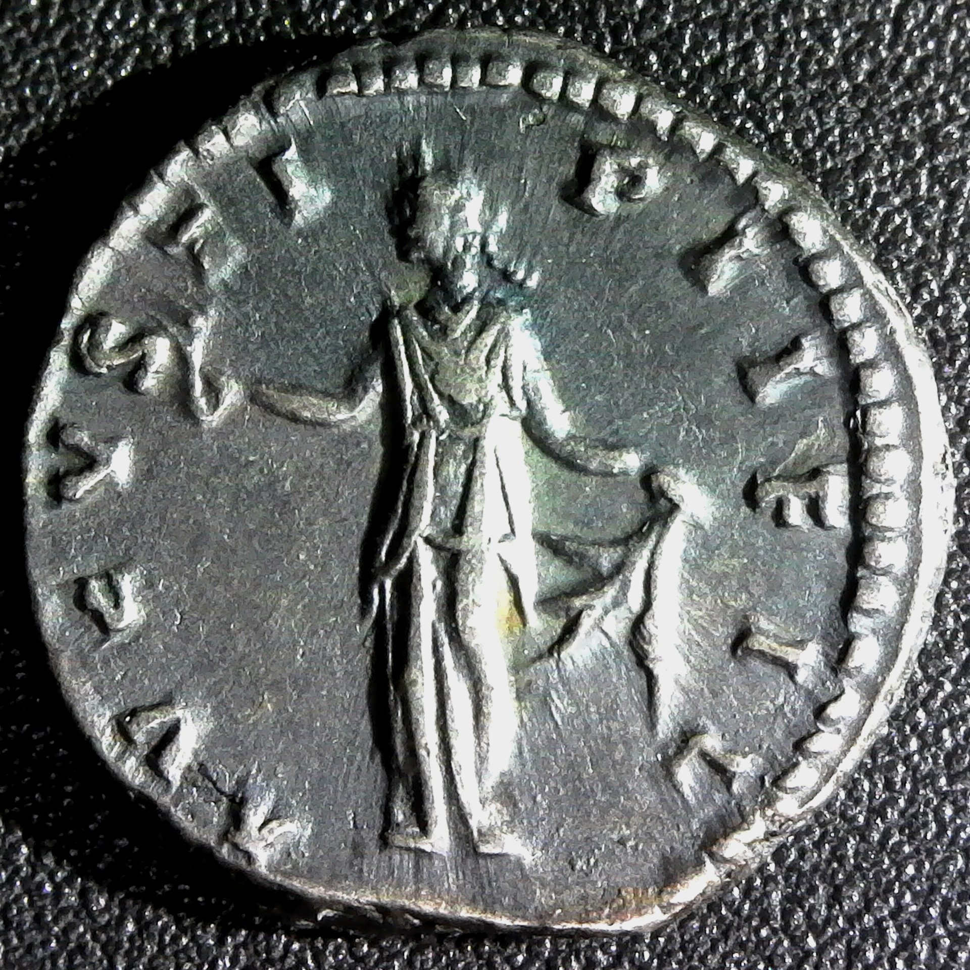 S20201111_0007 edit.jpg