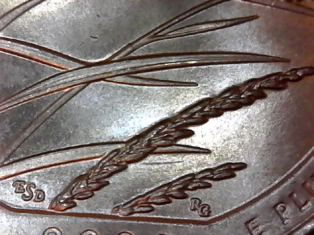 S20201129_004.jpg