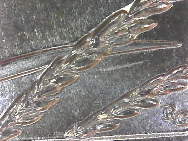 S20201202_006.jpg