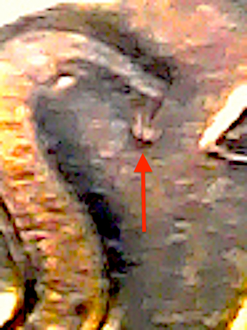 S20201211_013.jpg
