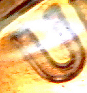 S20201214_145.jpg