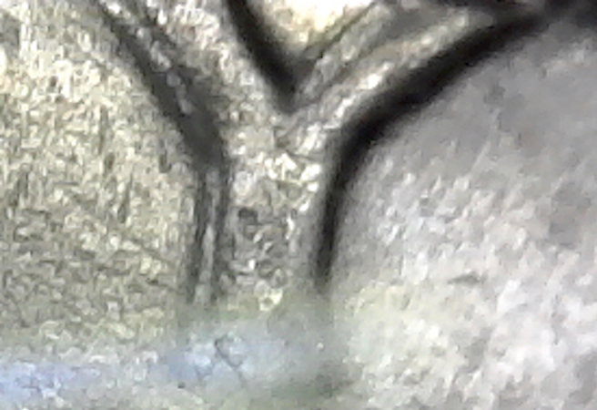 S20201216_592.jpg