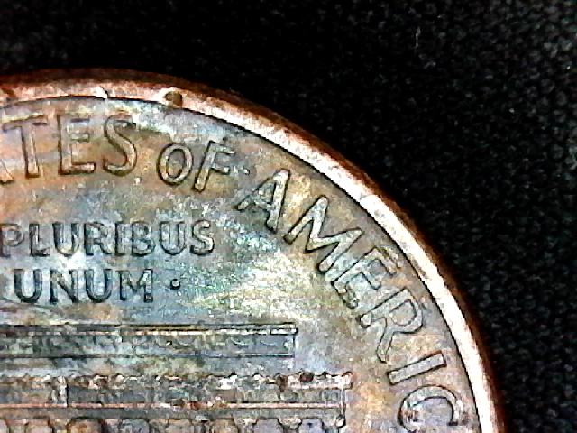 S20203305_001.jpg
