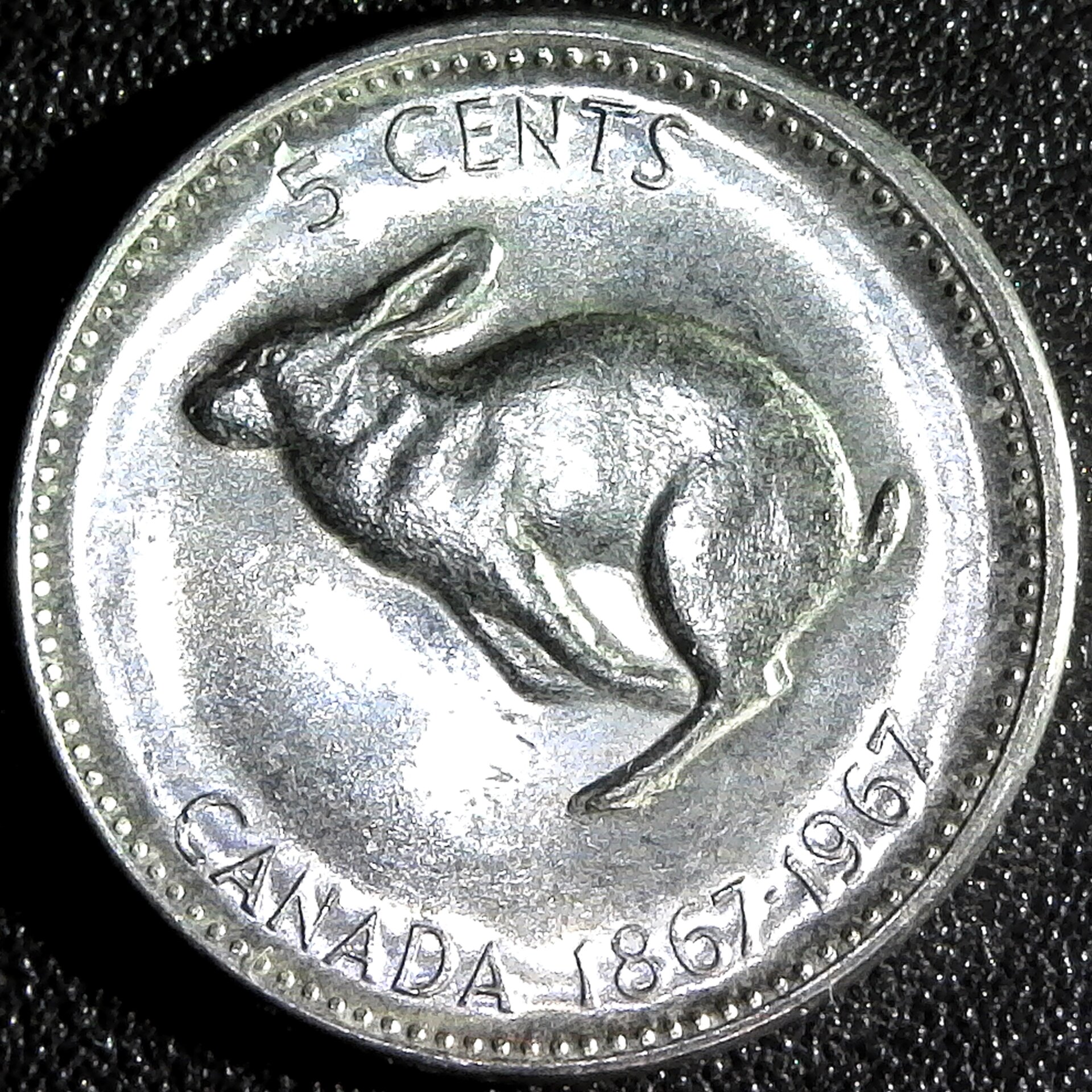 S20210214_0036.jpg