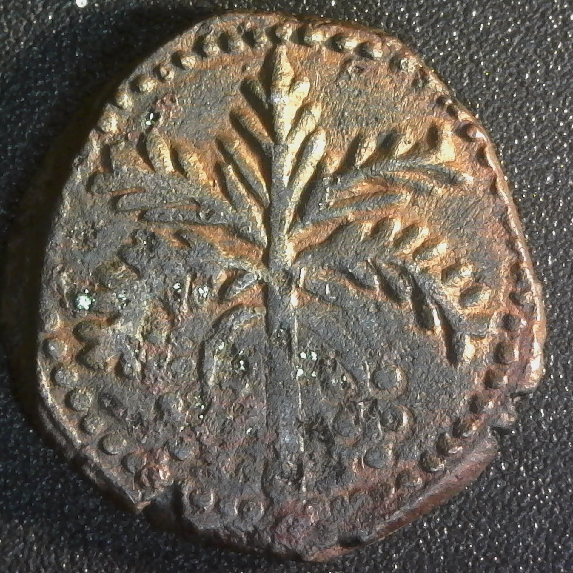 S20210224_0004.jpg