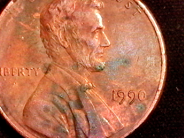 S20210305_001.jpg