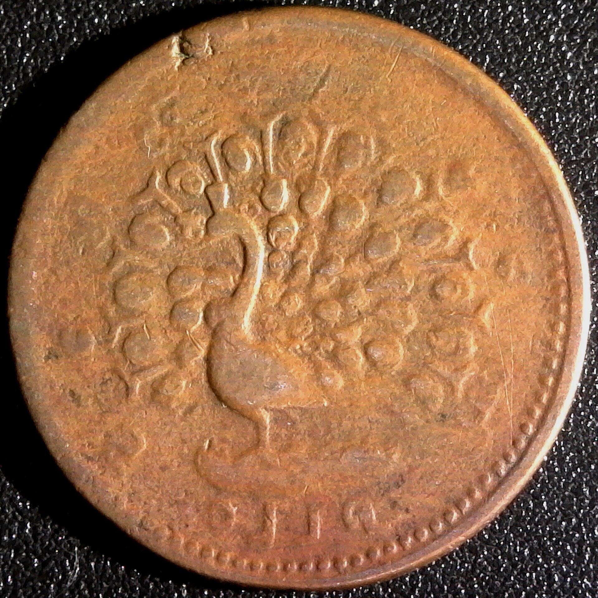S20210610_0014.jpg