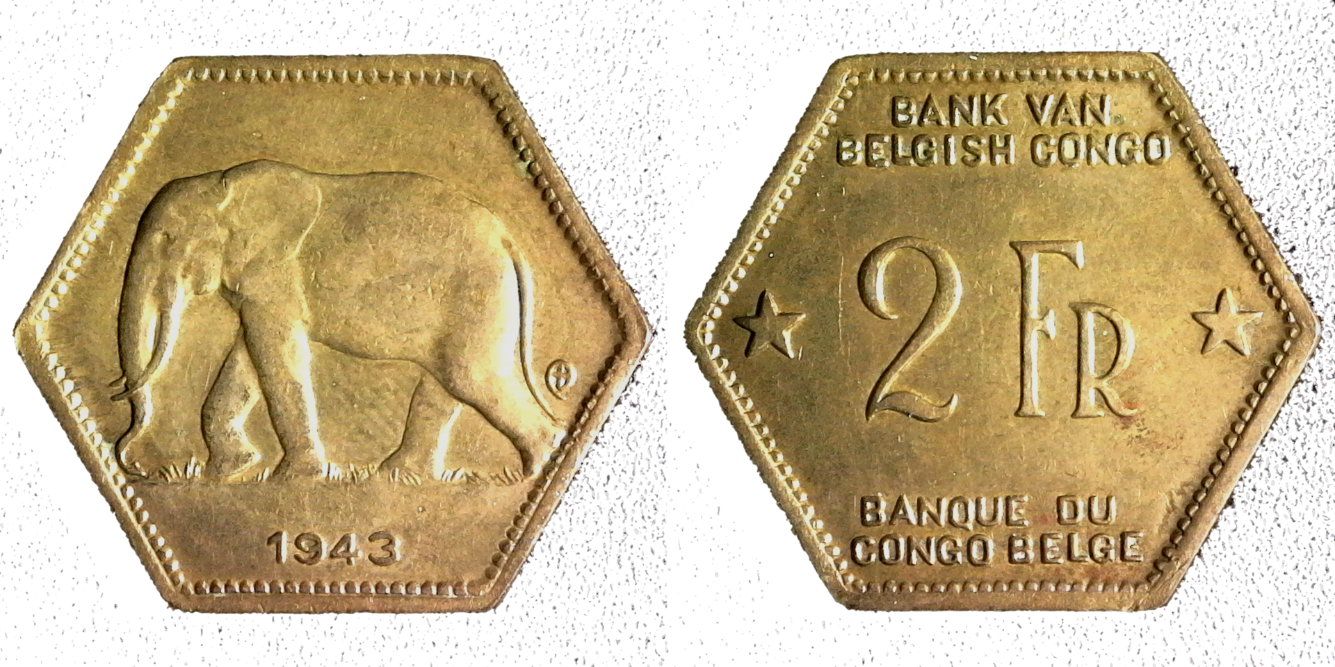 S20211113_0003-side-cutout.png