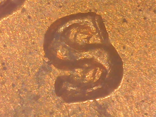 S20220118_0004.jpg