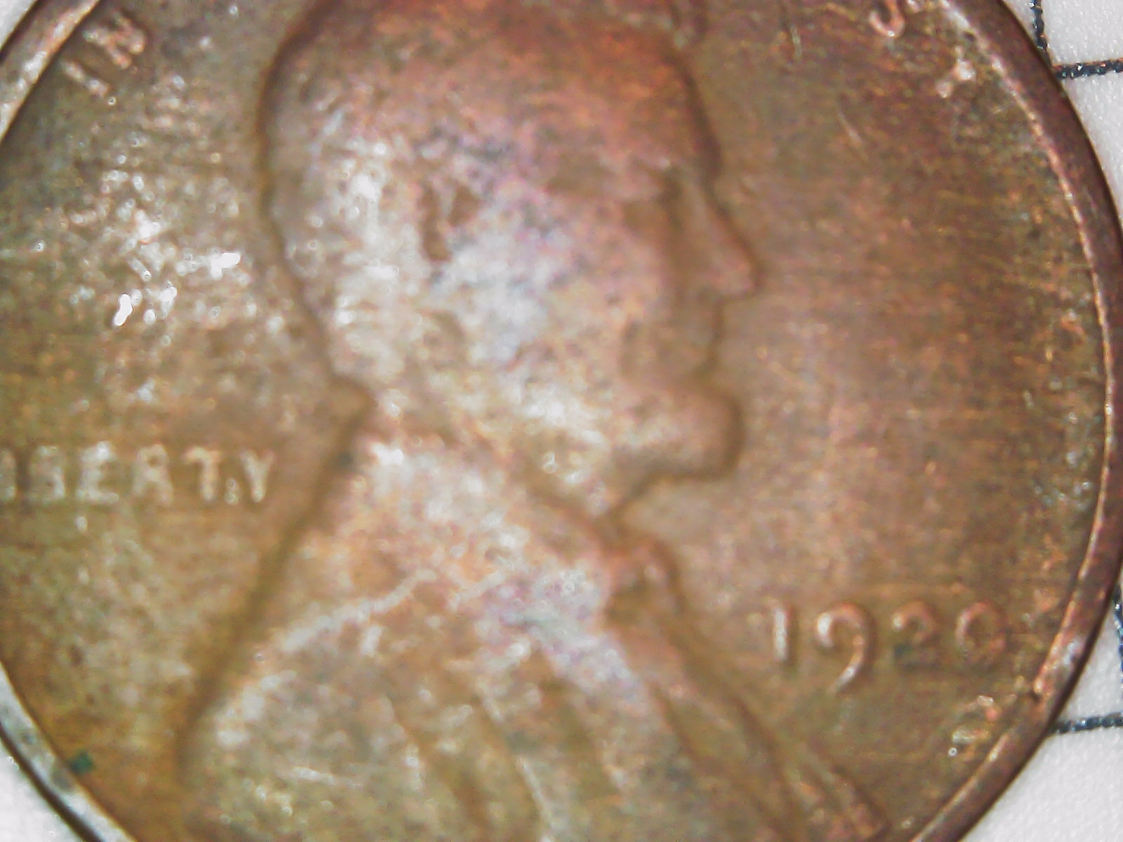 S20221107_0001.jpg