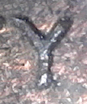S20230111_020.jpg