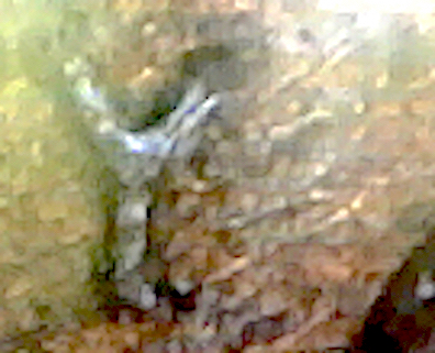 S20230112_409.jpg