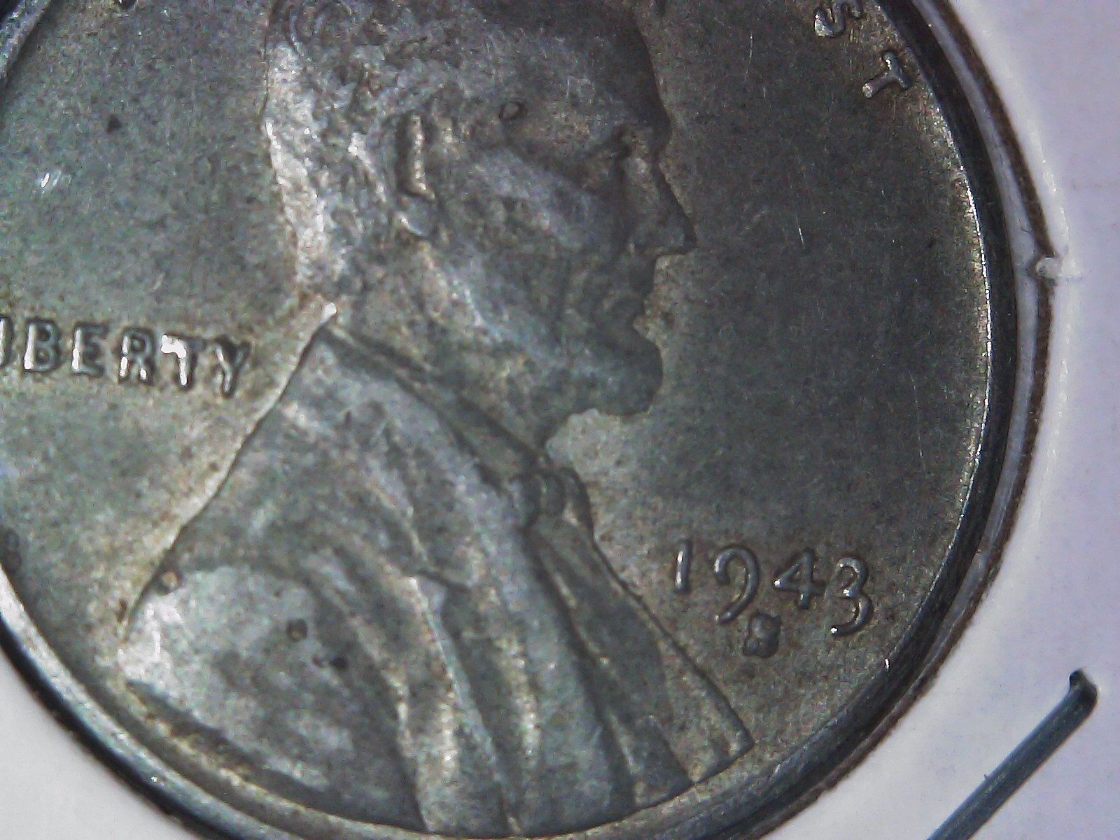 S20230207_0001.jpg