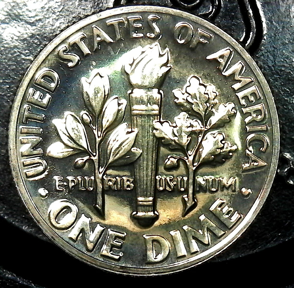 S20230426_0009-1.jpg