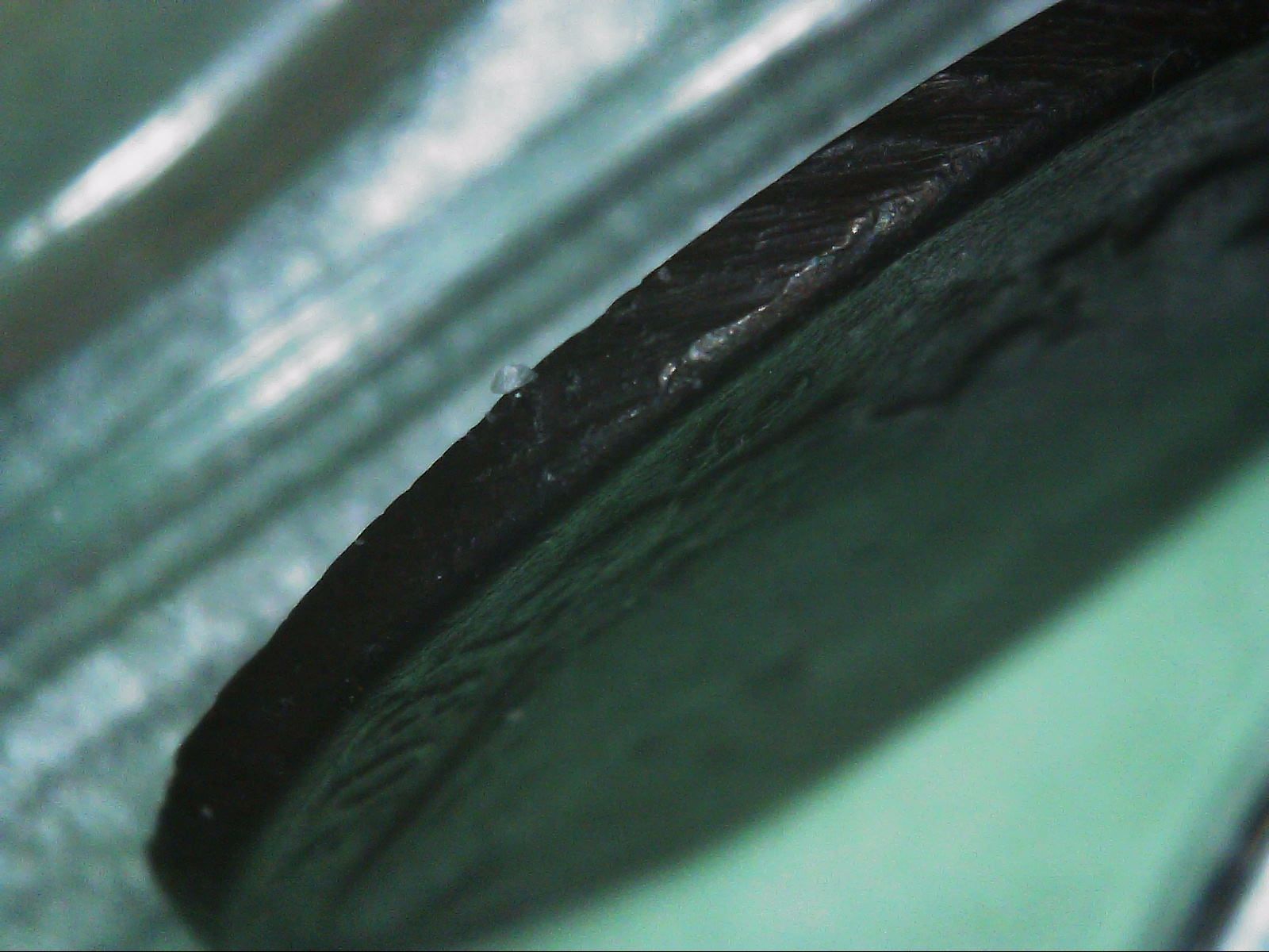 S20240121_0004.jpg