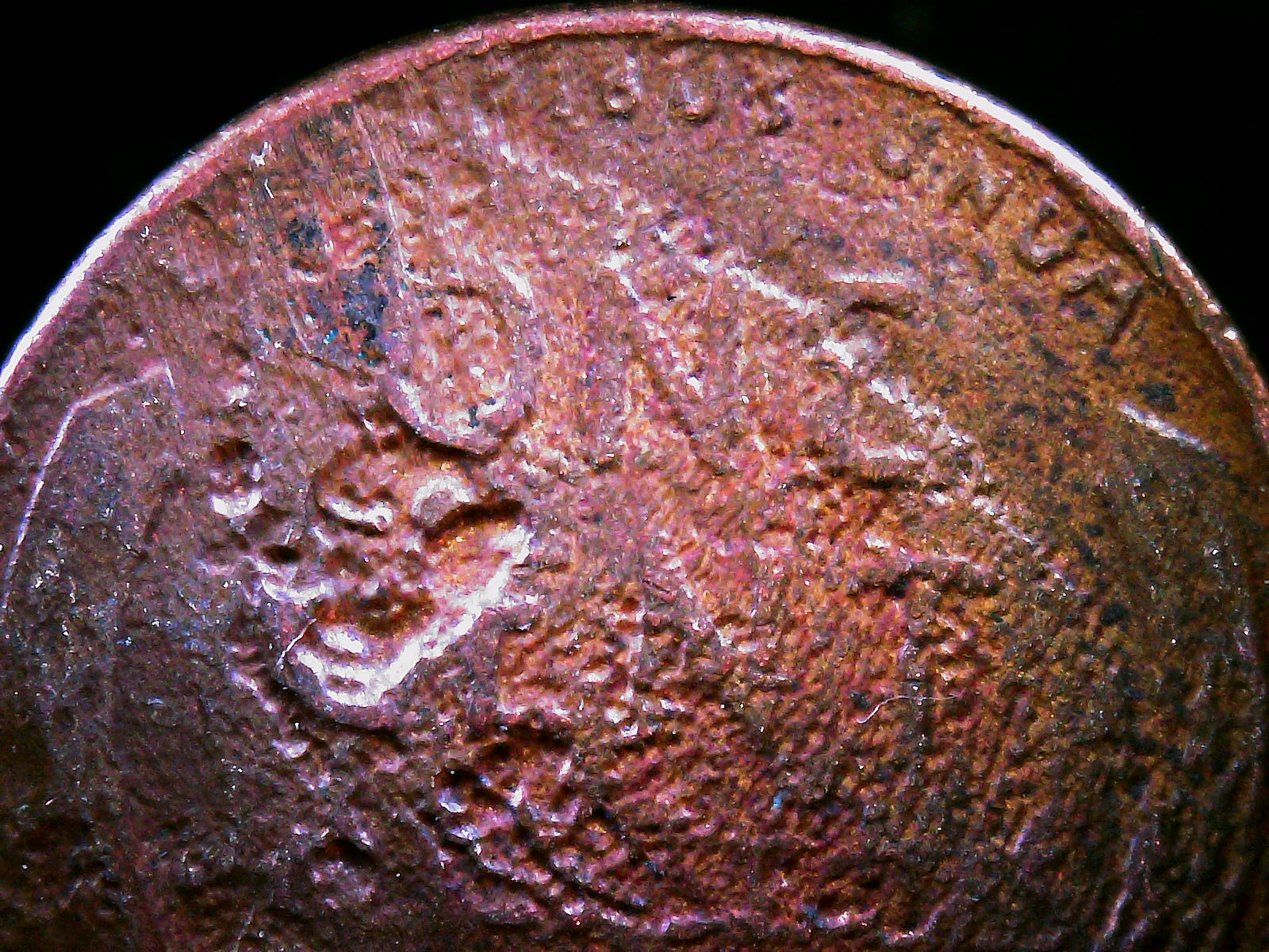 S20240123_0003.jpg
