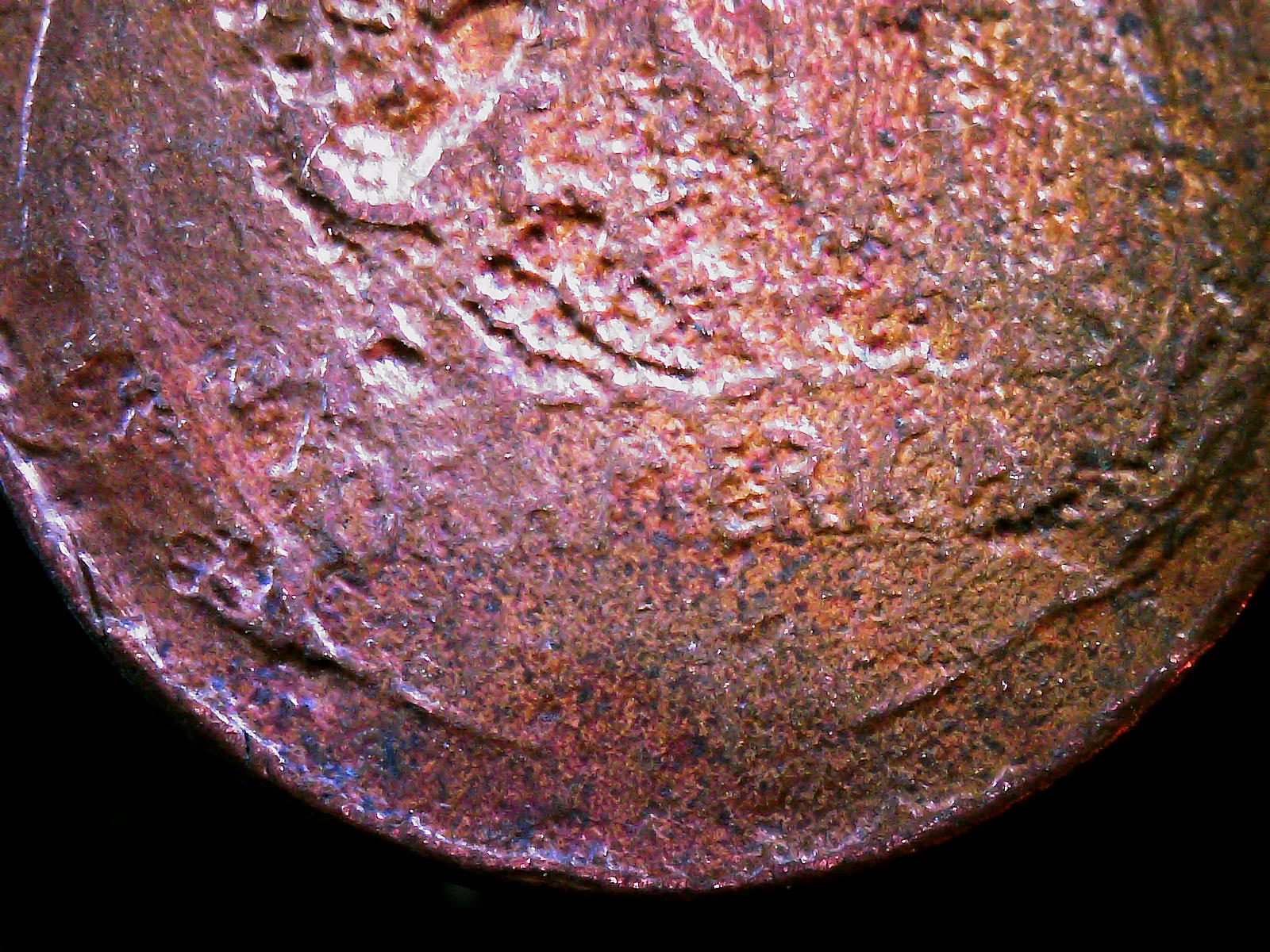 S20240123_0004.jpg
