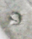 S20240131_0003.jpg