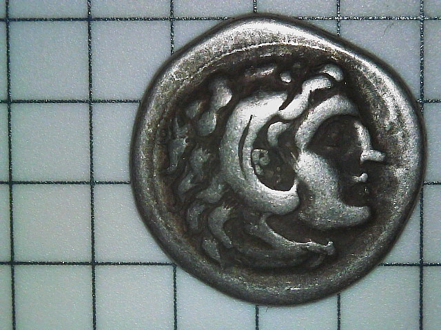 S20240208_031.jpg