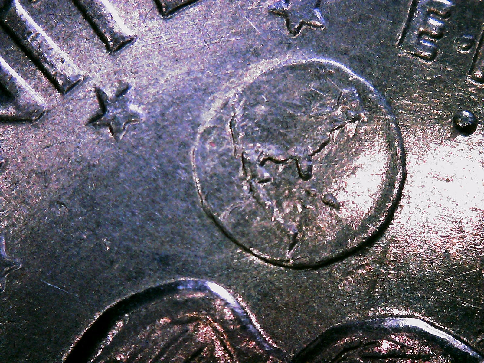 S20240213_0001.jpg