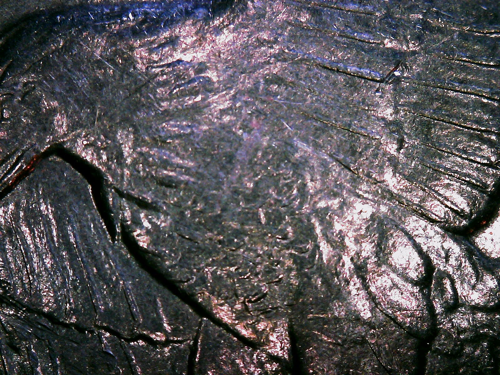 S20240213_0002.jpg