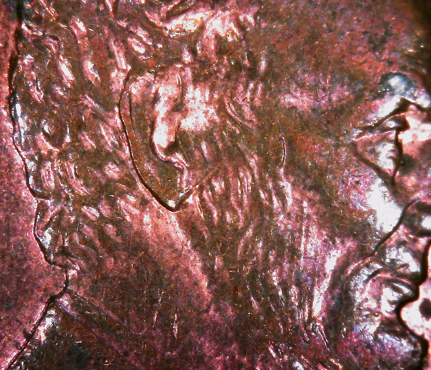 S20240221_0002.jpg