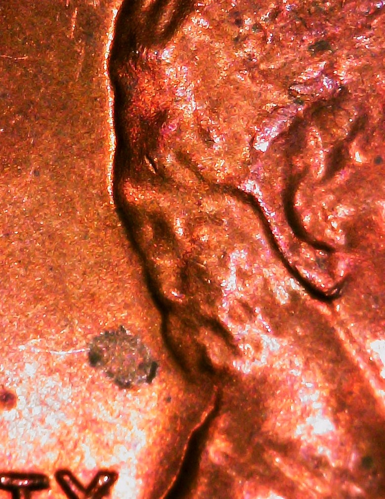 S20240221_0022.jpg