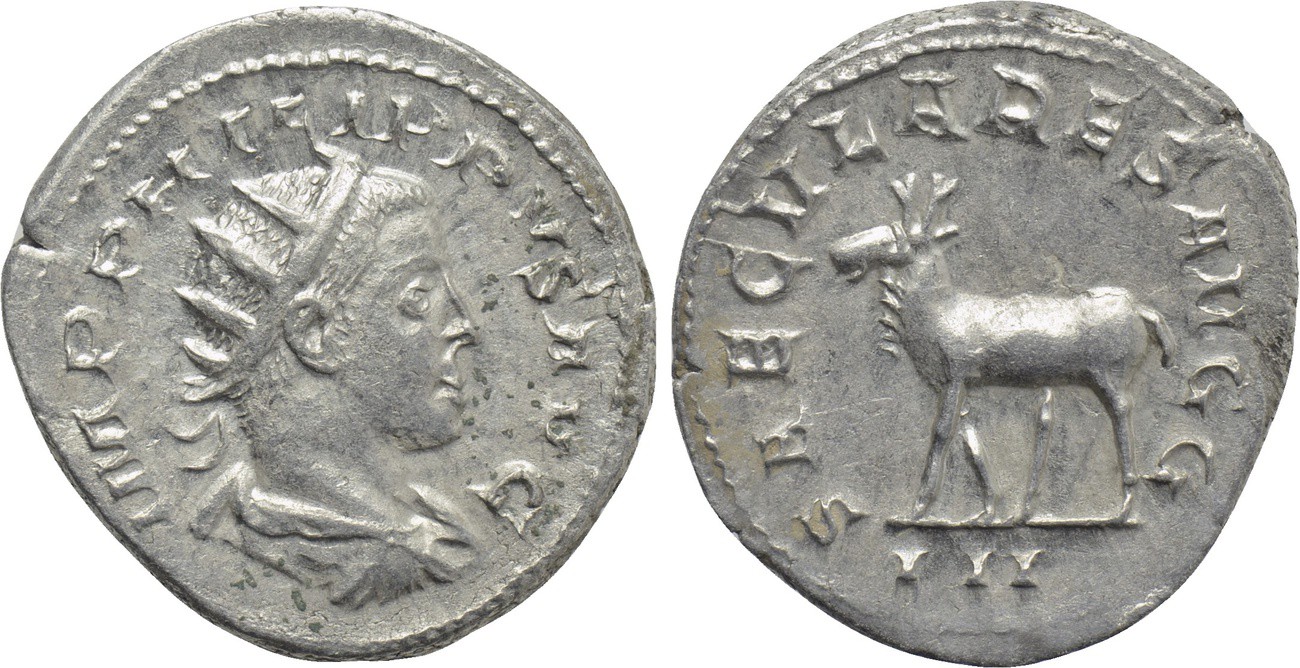 S56L637r120E.jpg