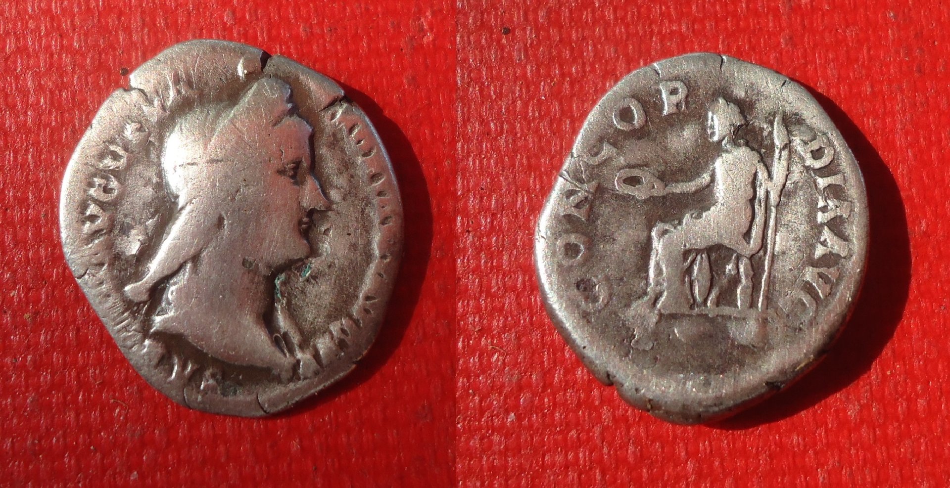 Sabina _ Condordia Den. July 2019 (0).jpg