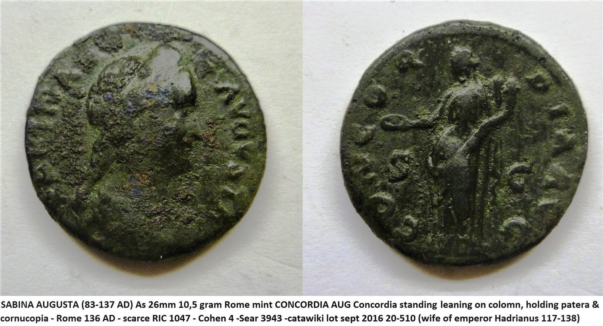 Sabina concordia.jpg