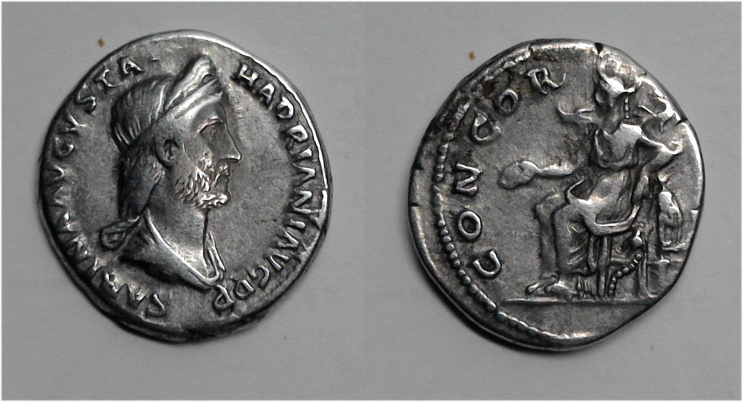 Sabina denarius bearded.jpg