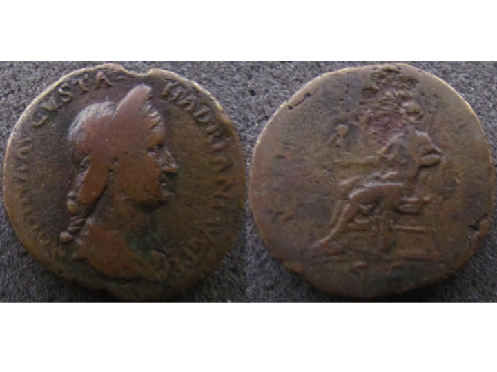 Sabina sestertius.jpg