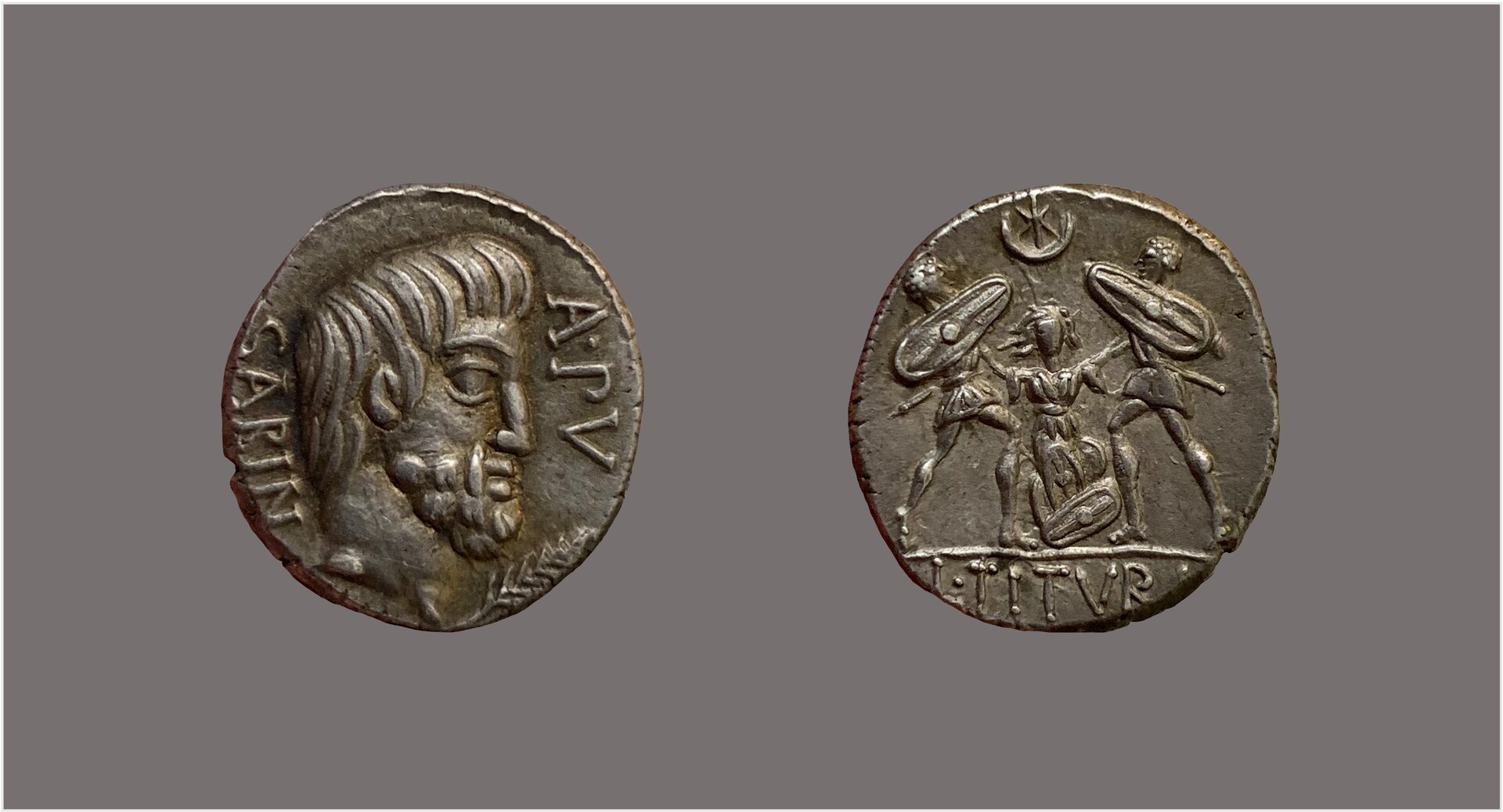 Sabinus denarius.jpg