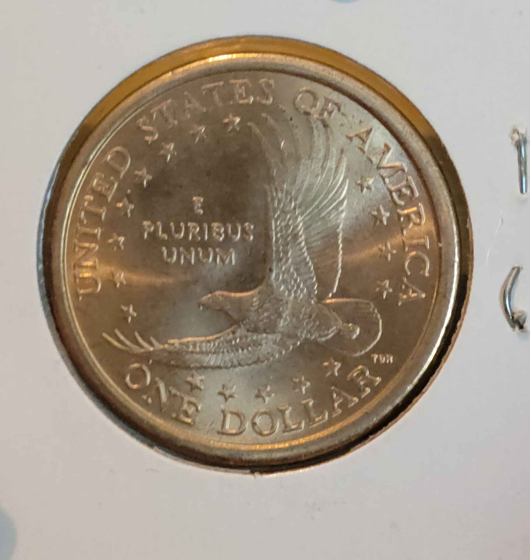 Sac 01D reverse.jpg