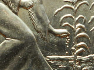 sac corn rows 010.JPG