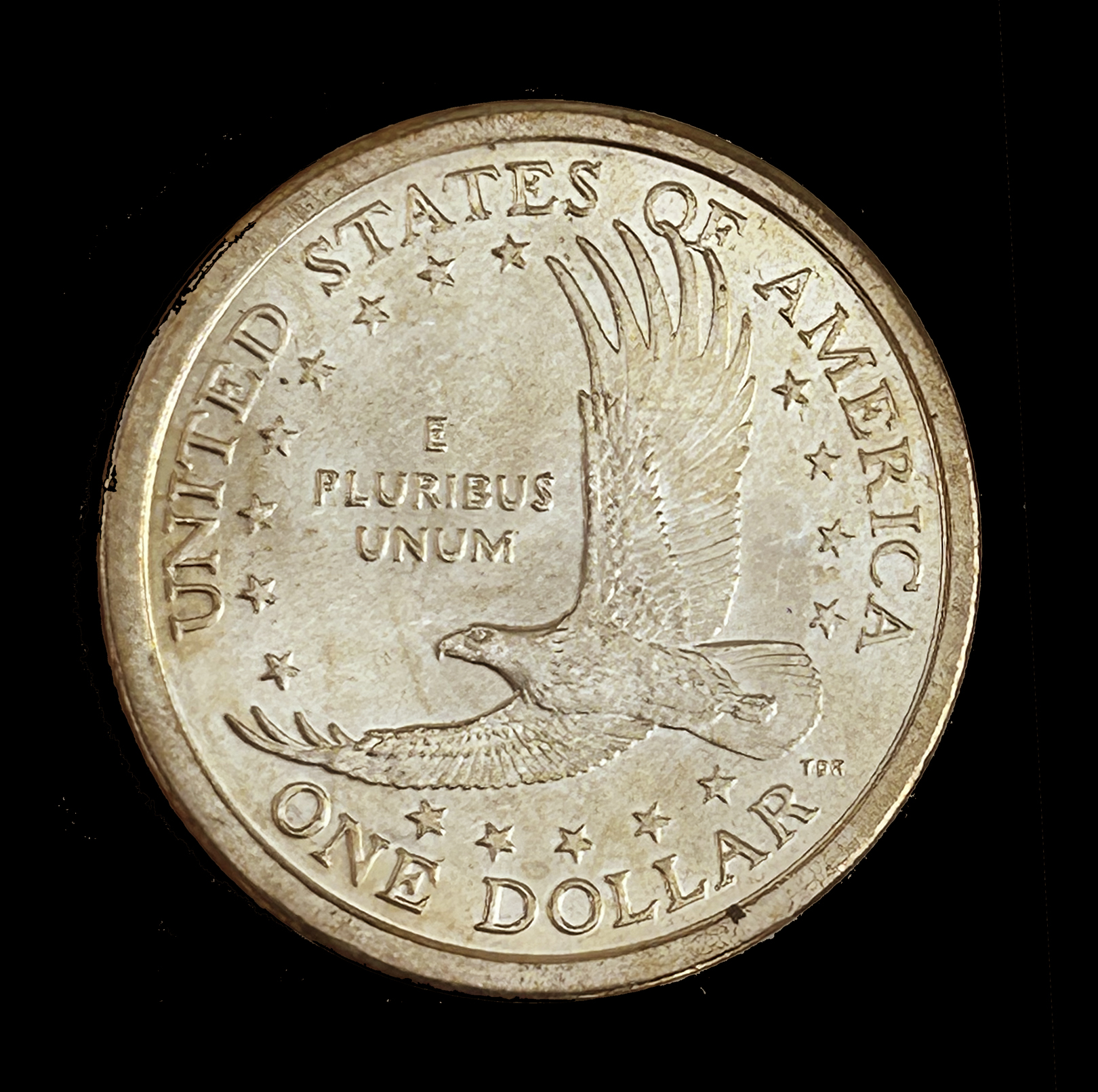 Sacagewea2a.jpg