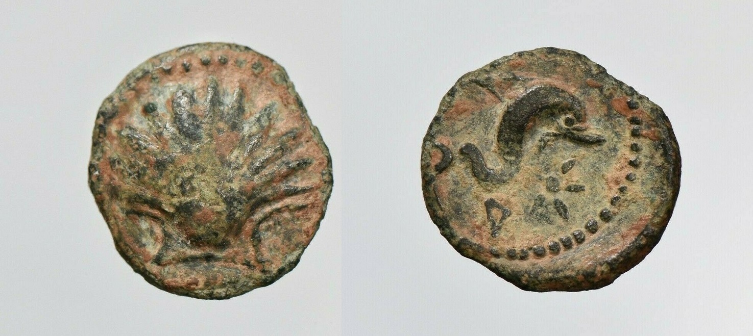 Sagunto Arse 2.jpg