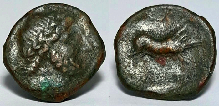 Salapia.jpg