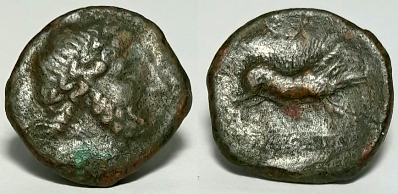 salapia.jpg