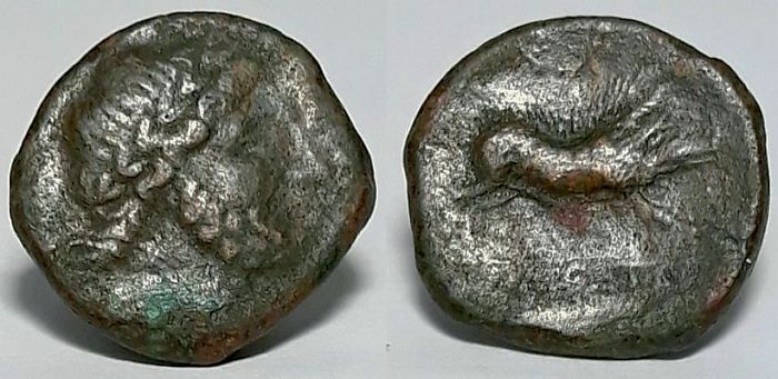 Salapia2.jpg