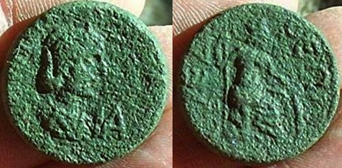 saloniasyedra.jpg