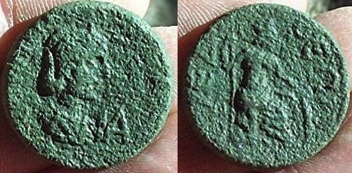 saloniasyedra.jpg