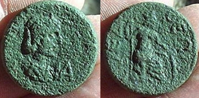 saloniasyedra.jpg