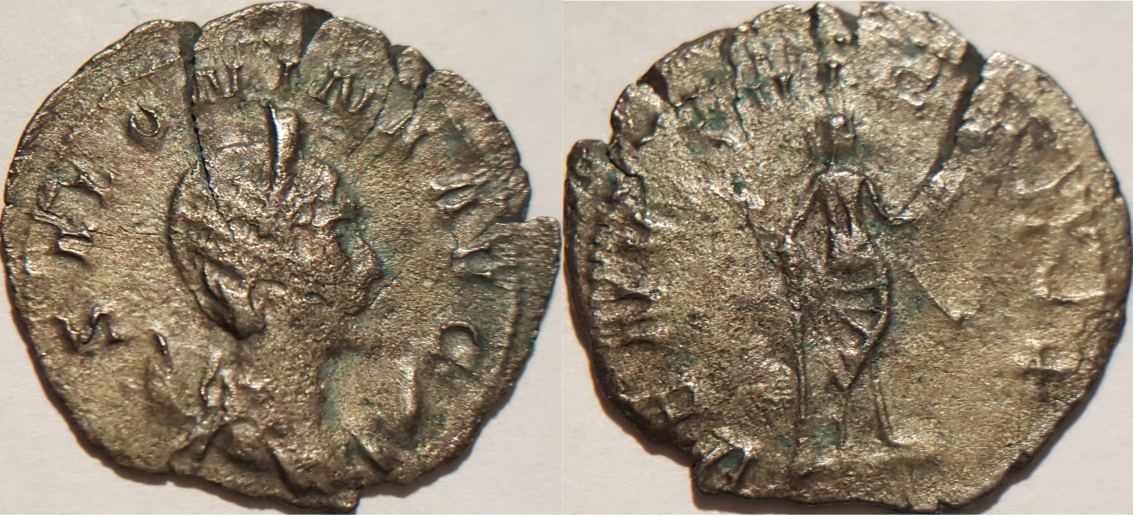 Salonina 2.png