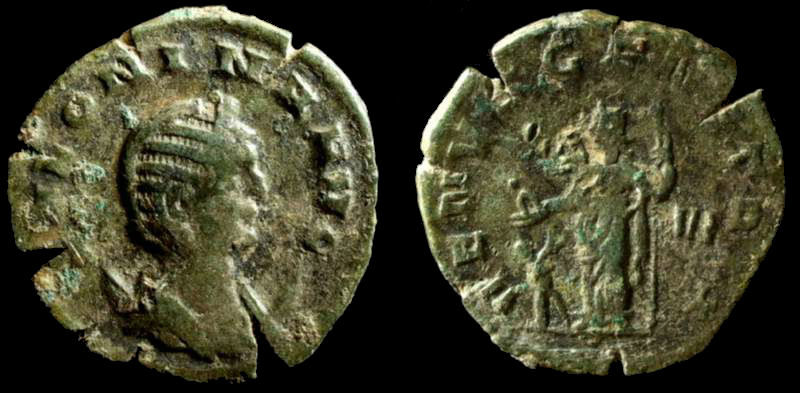 Salonina 3.jpg