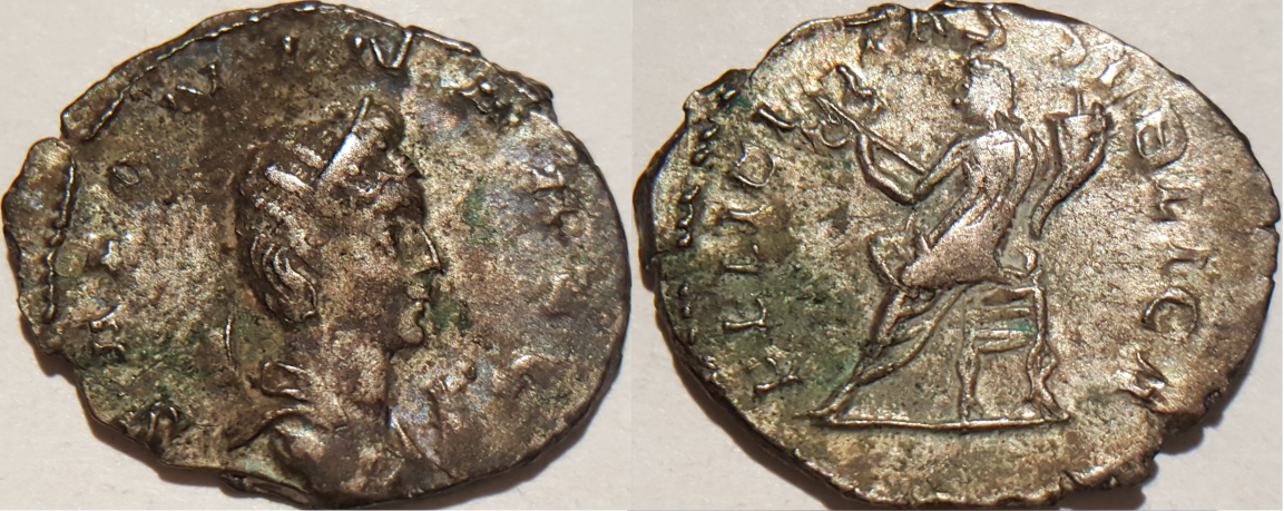Salonina 3.png
