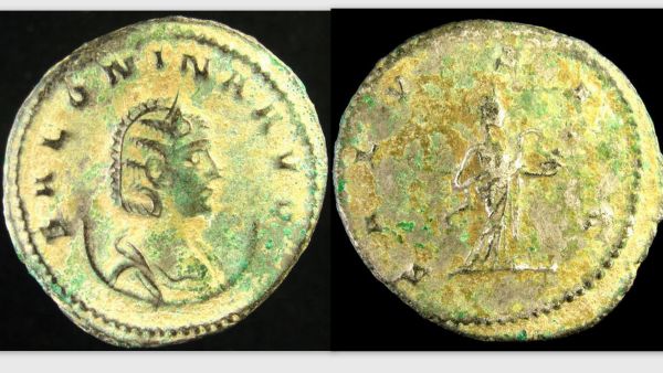 Salonina 4.jpg
