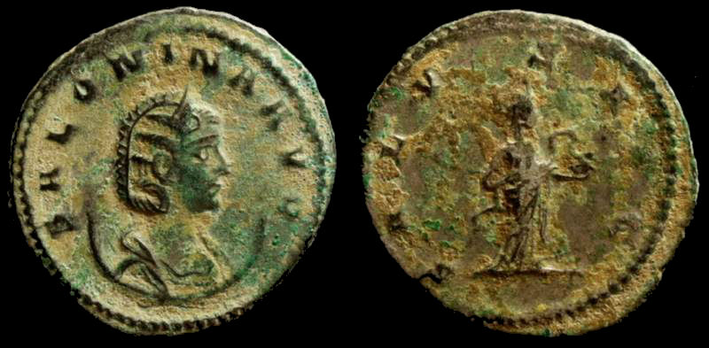 Salonina 4.jpg